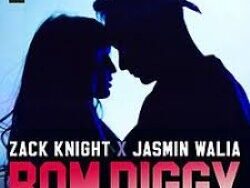 JEFF L – BOM DIGGY DIGGY (MIDI Profesional)