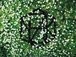 SawanoHiroyuki[nZk] ft. Tielle & Gemie – sh0ut (Remastered) (MIDI Profesional)
