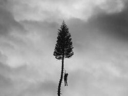 Manchester Orchestra – The Silence (MIDI Profesional)
