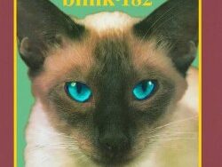 Blink182 – Carousel (MIDI Profesional)