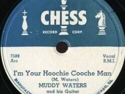 Muddy Waters – (I’m Your) Hoochie Coochie Man (MIDI Profesional)