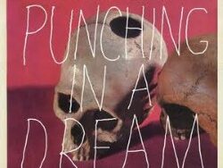 Naked Famous – Punching in a Dream (MIDI Profesional)